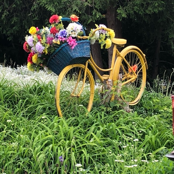 Meet your Posher, Leila - Picture 5 of 7